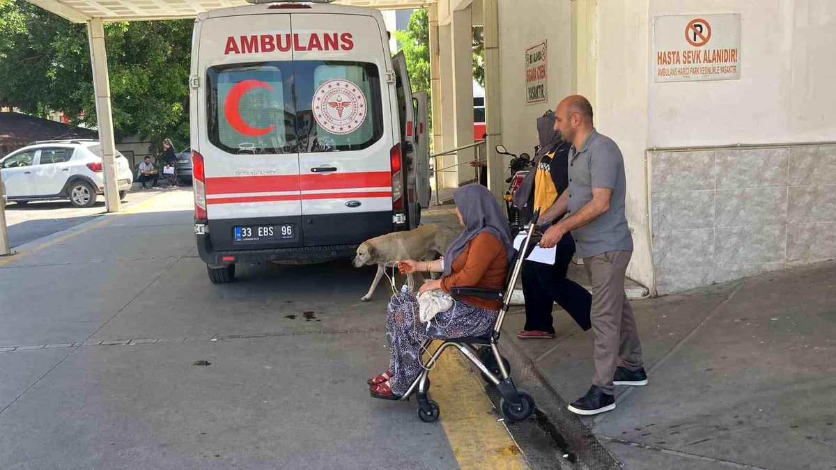 Erdemli’de Yedikleri Mantar Zehirledi: 7 Kişi Hastanede