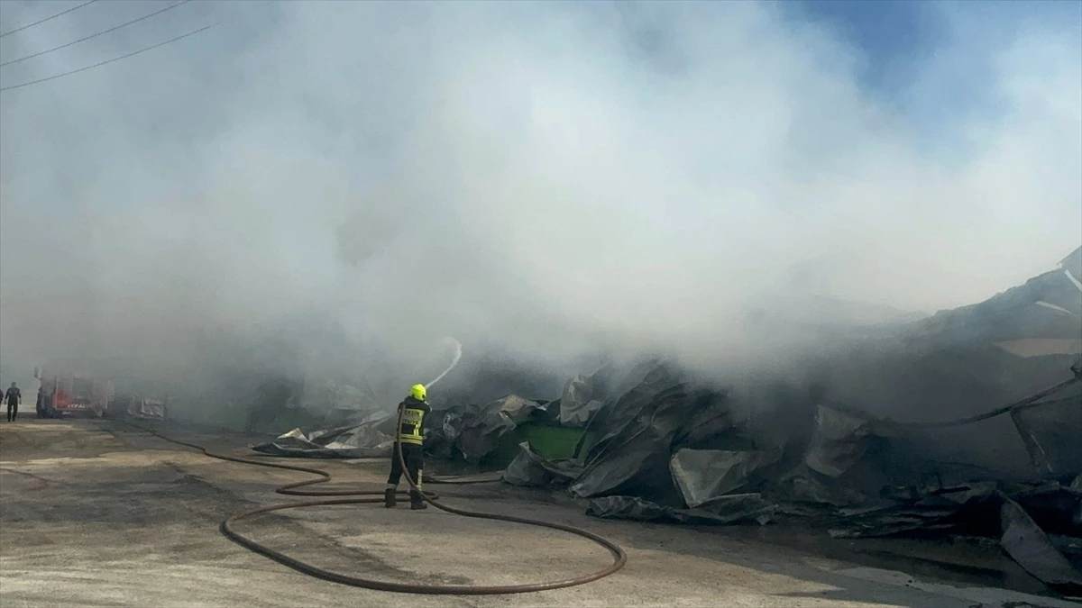 Mersin’deki Narenciye Paketleme Fabrikasında Yangın Çıktı