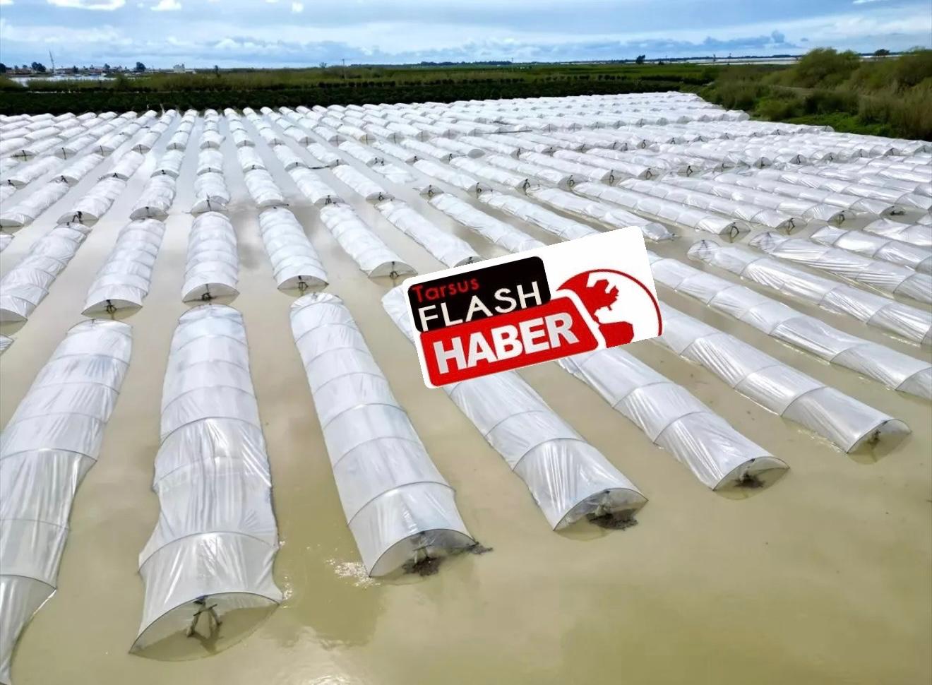 Tarsus’ta Sağanak Tarım Arazilerini Vurdu